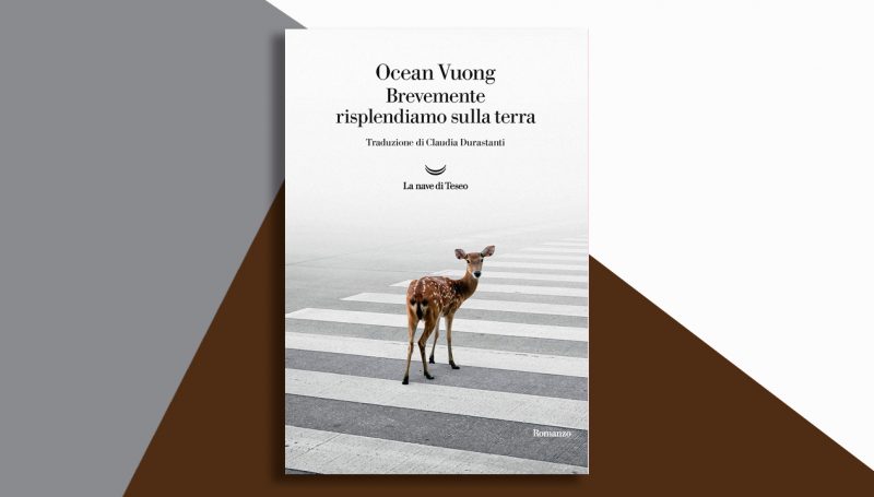 Tenerezza spietata: Brevemente risplendiamo sulla terra