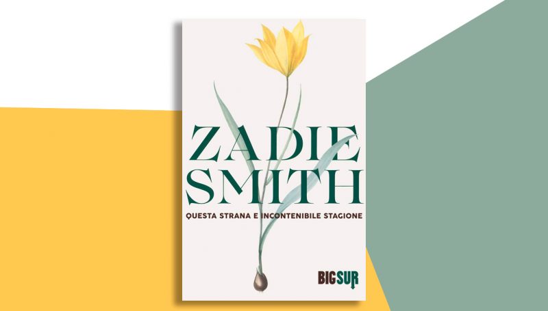 La primavera che ha cambiato il mondo