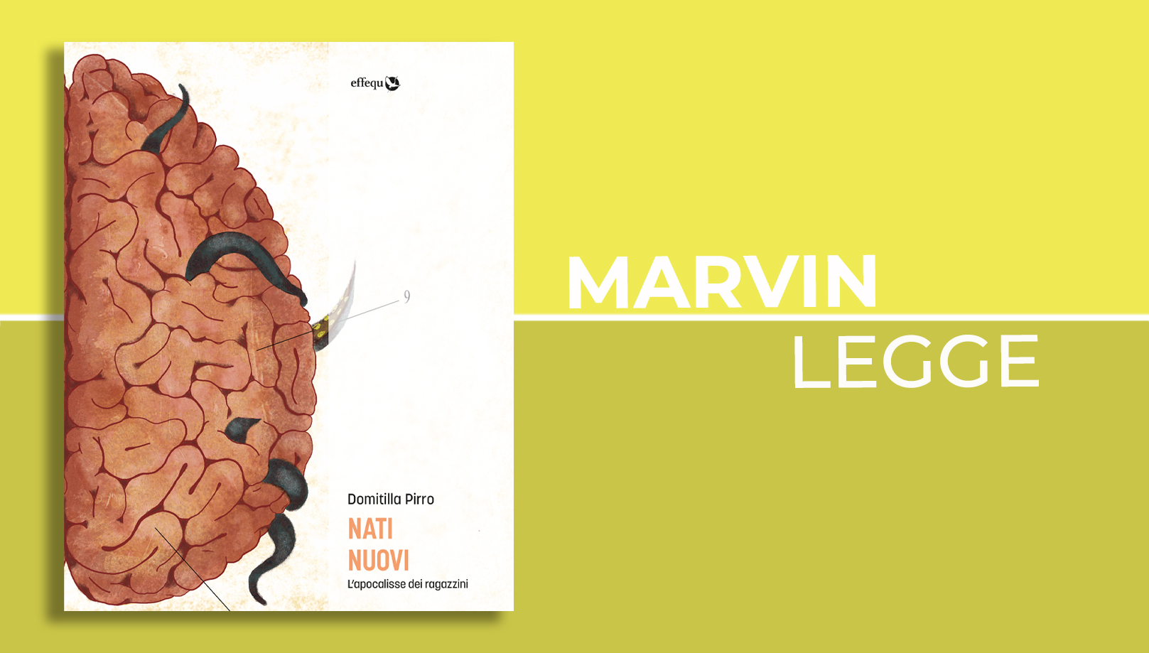 ’Sti regazzini hanno sbroccato