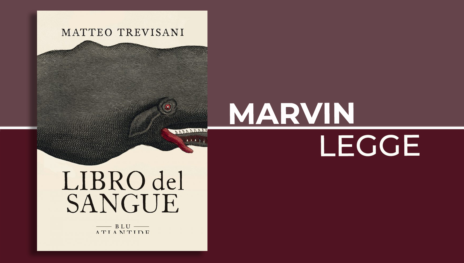 Doppi e avi, la risalita verso l’altrove