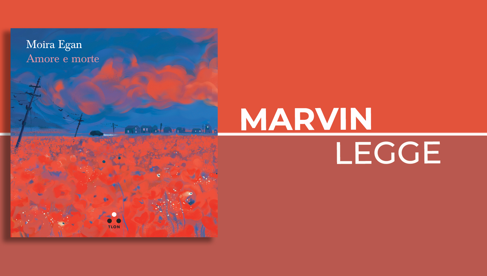 «Una certa arte per vivere nel buio». Le poesie di Moira Egan